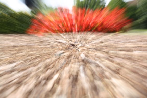 Unschärfe mit Blumen in Rottönen vor einem verschwommenen Boden.