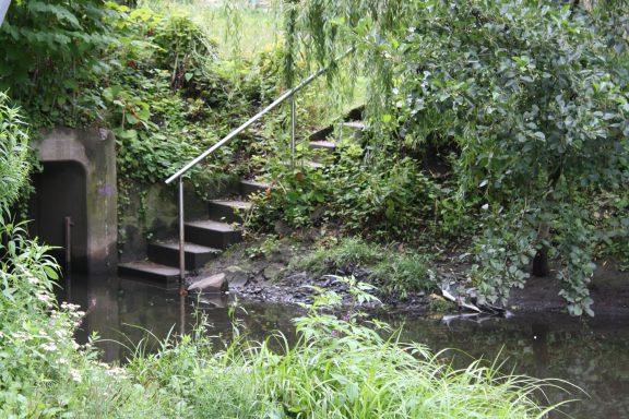 Treppen mit Geländer, die zu einem kleinen Gewässer führen, umgeben von Grün.